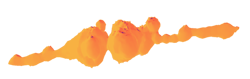 Cell division Cell division